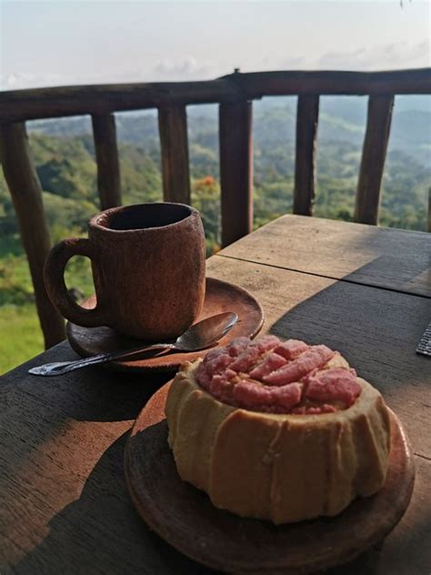 Book Hotel Tapasoli, Xilitla on Tripadvisor: See 56 traveler reviews, 173 candid photos, and great deals for Hotel Tapasoli, ranked #2 of 41 B&Bs / inns in Xilitla and rated 4 of 5 at Tripadvisor.